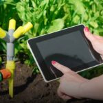 Hortas Inteligentes: Tecnologia a Serviço da Agricultura Urbana